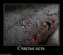 463207_schaste-est