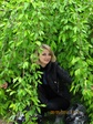 Изображение 338