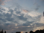 arthouse 014