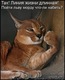 x_ac7fe7f7