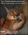 x_ac7fe7f7