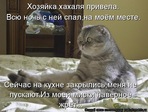 y_af72f4bc