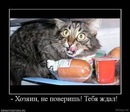 x_bdd5ae77
