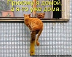 x_e4ec5253
