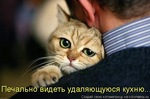 y_ceba9ce6