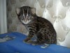 1 лвл =)