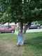 DSC01113