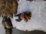 сплю