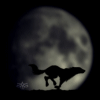 1230124134_dark_angel_of_death1