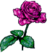 flover_0030