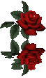 flover_004