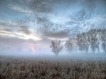 небо1
