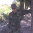 sasa