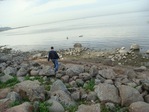 x_7e5b44c5