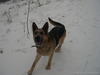 DSCN0136