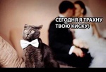 киску