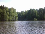 IMG0260A