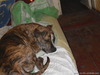 SAM_1753