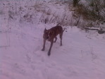 Photo-0105