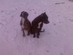 Photo-0112