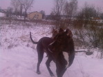 Photo-0107
