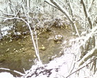 Photo-0721