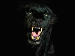 u10_277[1]