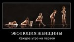 1296816107_dem-12