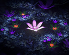 Minhkoi.net-111-13
