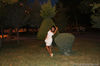 getImage11