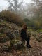 getImage (10)
