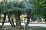 getImage6