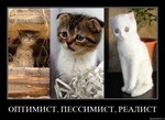 оптимист песимист реалист