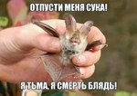 я тьма..
