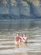P8200056