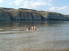 P8200054