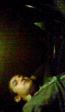 eThcDhJAHURDdAXxiNRaCAH4Ha85iaR2YOkSppDyAPA