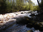 DSC00059