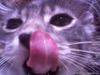 Photo-0006