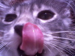 Photo-0006