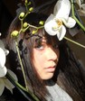 orchids