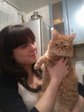 лапочка котик