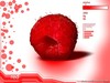 3D-graphics__002738_