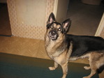 Picture 008