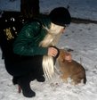 холодно шенку 