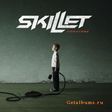 1215358124_skillet
