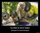 images (2)