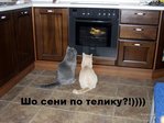 мне пох
