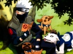 team_animales