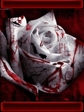 Blood+AF8-Roses